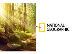 Ilmuwan, Media, dan Literasi Sains