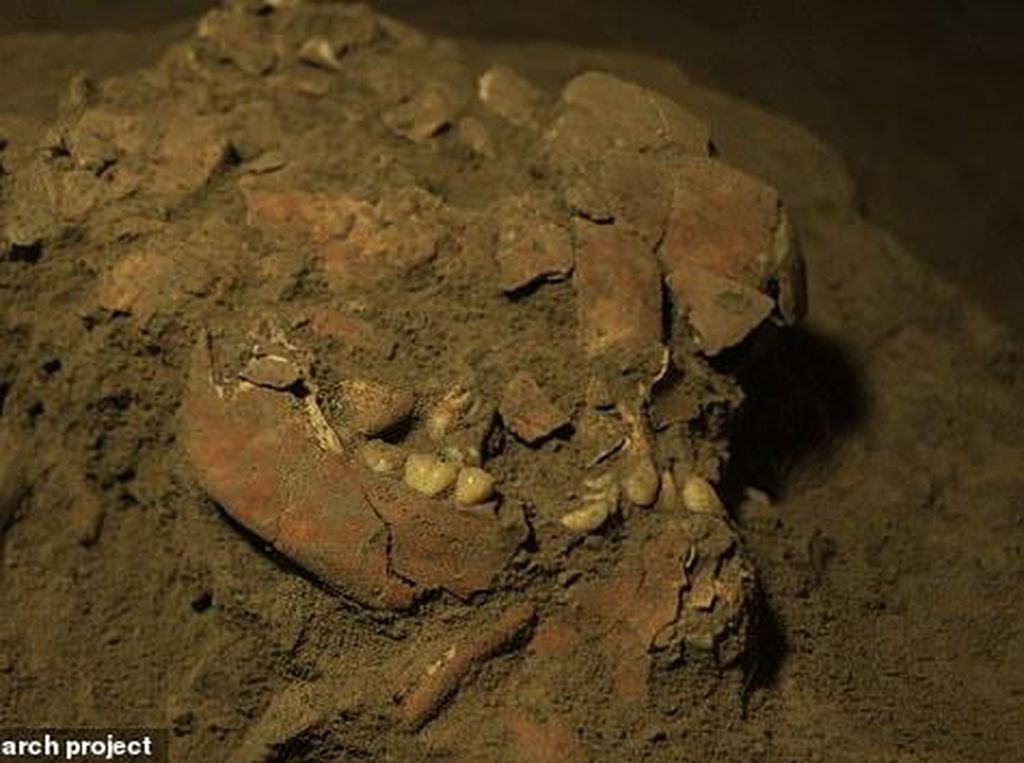 DNA Manusia Purba Tertua Ditemukan di Maros