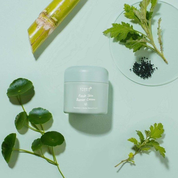 Moisturizer untuk skin barrier