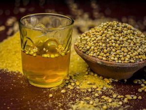5 Manfaat Sehat Minum Air Ketumbar, Naikkan Imunitas dan Detoks Tubuh 5 Manfaat Sehat Minum Air Ketumbar, Naikkan Imunitas dan Detoks Tubuh