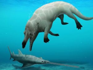 Wah, Ternyata Paus Purba Punya 4 Kaki! Wah, Ternyata Paus Purba Punya 4 Kaki!