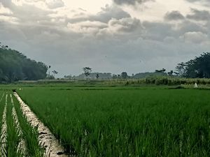 Prakiraan Cuaca Bandung Sabtu 6 Agustus 2022: Berawan