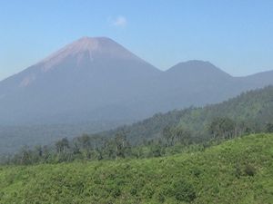 Gunung Semeru Sudah 4 Kali Mengeluarkan Guguran Lava