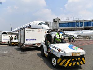 RI Terima Lagi 6 Juta Dosis Vaksin Sinovac & Astrazeneca Bentuk Jadi