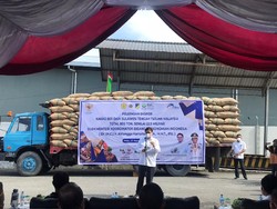 Airlangga Lepas Ekspor 800 Ton Biji Kakao Senilai Rp 22,5 M dari Palu