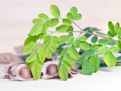 Manfaat Daun Kelor, Kandungan, dan Efek Sampingnya Bagi Tubuh