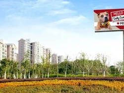 Sudah 2 Tahun Anjing Ini di Shelter, Sampai-sampai Harus Pasang Iklan