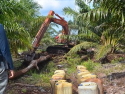 3 Perambah Kawasan Cagar Biosfer di Riau Ditangkap, 2 Alat Berat Disita