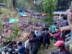 Viral Video Warga Berkerumun Nonton Sabung Ayam Saat PPKM di Tana Toraja