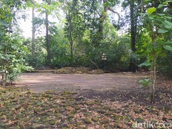 Sedih, Kondisi Situs Ngloram di Blora Memprihatinkan