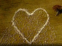 So Sweet, Domba Dibariskan Membentuk Hati untuk Orang Terkasih