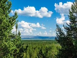 Jangan Pipis Sembarangan di Perbatasan Rusia, Bisa Didenda Rp 4,9 Juta