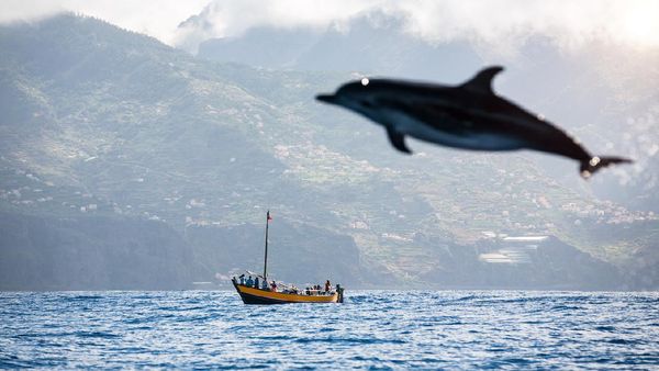 Madeira, Kampung Halaman Ronaldo nan Elok Menawan