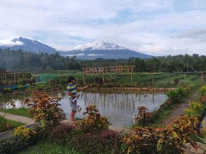 Banyuwangi Buka Wisata Pekan Depan, Rancang Aplikasi Mirip Peduli Lindungi Banyuwangi Buka Wisata Pekan Depan, Rancang Aplikasi Mirip Peduli Lindungi