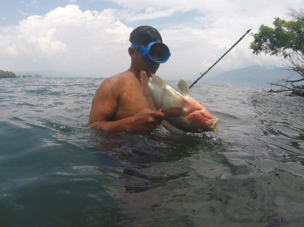 Intip Keseruan Memanah Ikan di Danau Singkarak