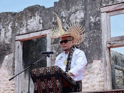 Ketua DPD Minta Budidaya Sorgum Pengganti Beras Dilestarikan