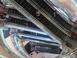 Bos Matahari Harap Anak di Bawah 12 Tahun Boleh Ngemal Lagi