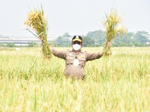 Bentuk Pendampingan Kementan untuk Kemajuan Pertanian Papua