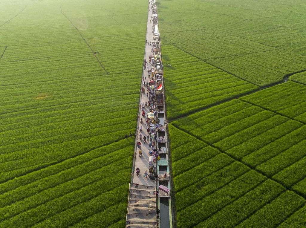 4 Dampak Alih Fungsi Lahan Pertanian Menjadi Permukiman 4 Dampak Alih Fungsi Lahan Pertanian Menjadi Permukiman