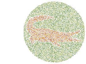 Hewan Apakah yang Ada di Gambar Ini? Yuk Tebak-tebakan Sembari Cek Mata