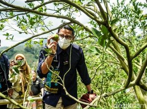 Kunjungi Desa Wisata Sarugo, Sandiaga Apresiasi Kerjasama Bangkitkan Wisata