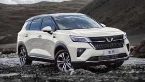 Wuling Xin Chen, Calon Adik Almaz