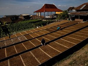 Industri Tembakau Harap-harap Cemas Cukai Rokok Mau Naik