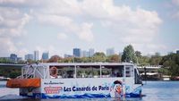 Bebek Paris, Bisa Jalan-Jalan di Kota dan Mengapung di Air
