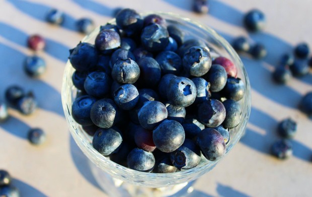 Buah Bluberi