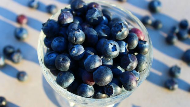 Buah Bluberi