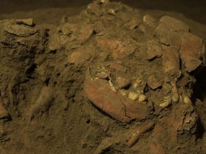 Fosil Remaja Purba Toalean di Sulawesi Ungkap Hubungan DNA dengan Penduduk Asli Australia