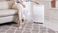 Video Mitos atau Fakta: Air Purifier Bisa Bikin Udara Lebih Bersih