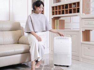 Beda Diffuser, Purifier, Humidifier untuk Bersihkan Udara di Rumah Beda Diffuser, Purifier, Humidifier untuk Bersihkan Udara di Rumah
