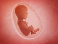 Apakah Bayi dalam Kandungan Wajib Zakat Fitrah? Ini Ketentuannya