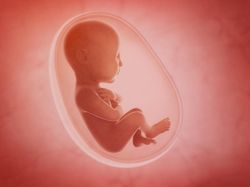 Penelitian Membuktikan Bayi Mengenal Bahasa Sejak dalam Kandungan