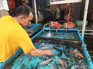 Pemkot Tangsel Bakal Operasi Yustisi di Pasar Ciputat Demi Tertibkan Prokes