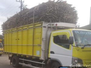 Kata Pabrik Gula di Blitar soal Kemacetan Truk Tebu yang Dikeluhkan Warga
