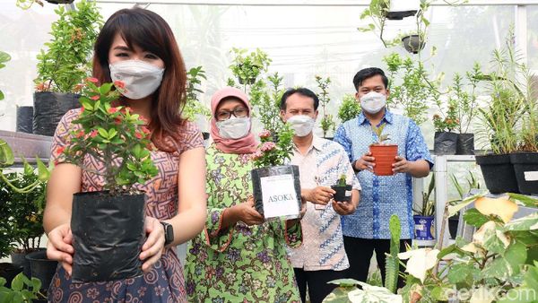 Greenhouse Jadi Zona Pembelajaran Siswa