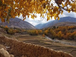 Mengenal Lembah Andarabi, Kampung Halaman Penyanyi Afghanistan Fawad Andarabi