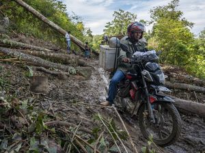 Waduh! Jalan Trans Palu-Kulawi Tertimbun Longsor