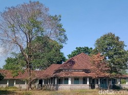 Pantas Sering Impor, Pabrik Gula RI Banyak yang Bangkotan