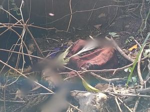 Kerangka Manusia Ditemukan di Hutan Lindung Perhutani Licin, Banyuwangi