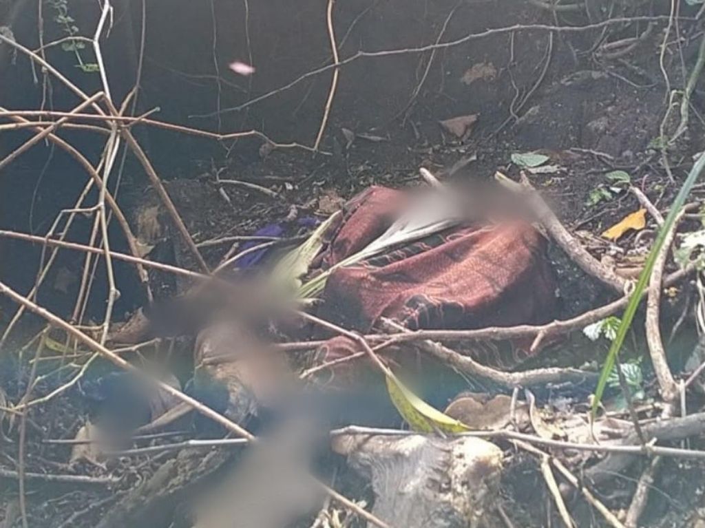 Kerangka Manusia Ditemukan di Hutan Lindung Perhutani Licin, Banyuwangi Kerangka Manusia Ditemukan di Hutan Lindung Perhutani Licin, Banyuwangi