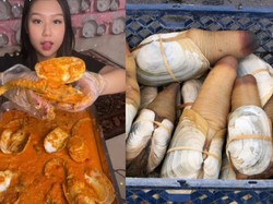 Sisca Kohl Masak Kerang Geoduck yang Bentuknya Mirip Mr. P, Ini Faktanya