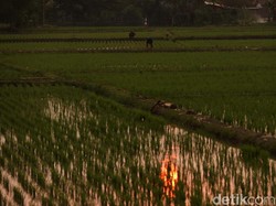 Cuaca Bandung Jumat, 1 Agustus 2025 Diprediksi Cerah dengan Suhu Sejuk