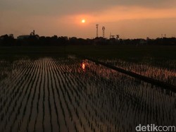 Prakiraan Cuaca Kota Bandung Jumat, 21 Maret 2025: Berawan