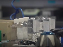 Dokumen tentang Penelitian Jenis Virus Corona di Wuhan Dirilis