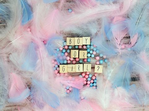 Boy or Girl text surrounded with pastel colored feathers, Gender reveal gathering party concept. Baby announcement. Flat lay,text space. background texture greeting card