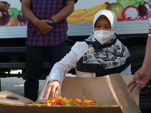 Begini Jurus Kementan Katrol Harga Cabai yang Sedang Anjlok