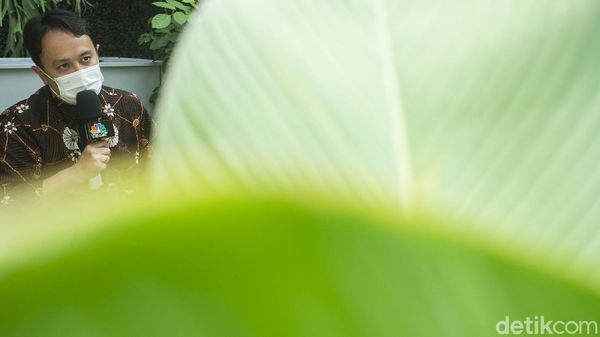 Curhat Pengusaha Restoran ke Wamendag